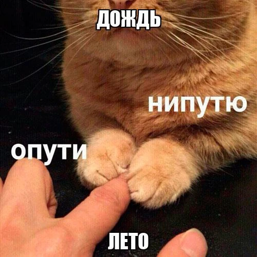 Доброе утро, Москва!