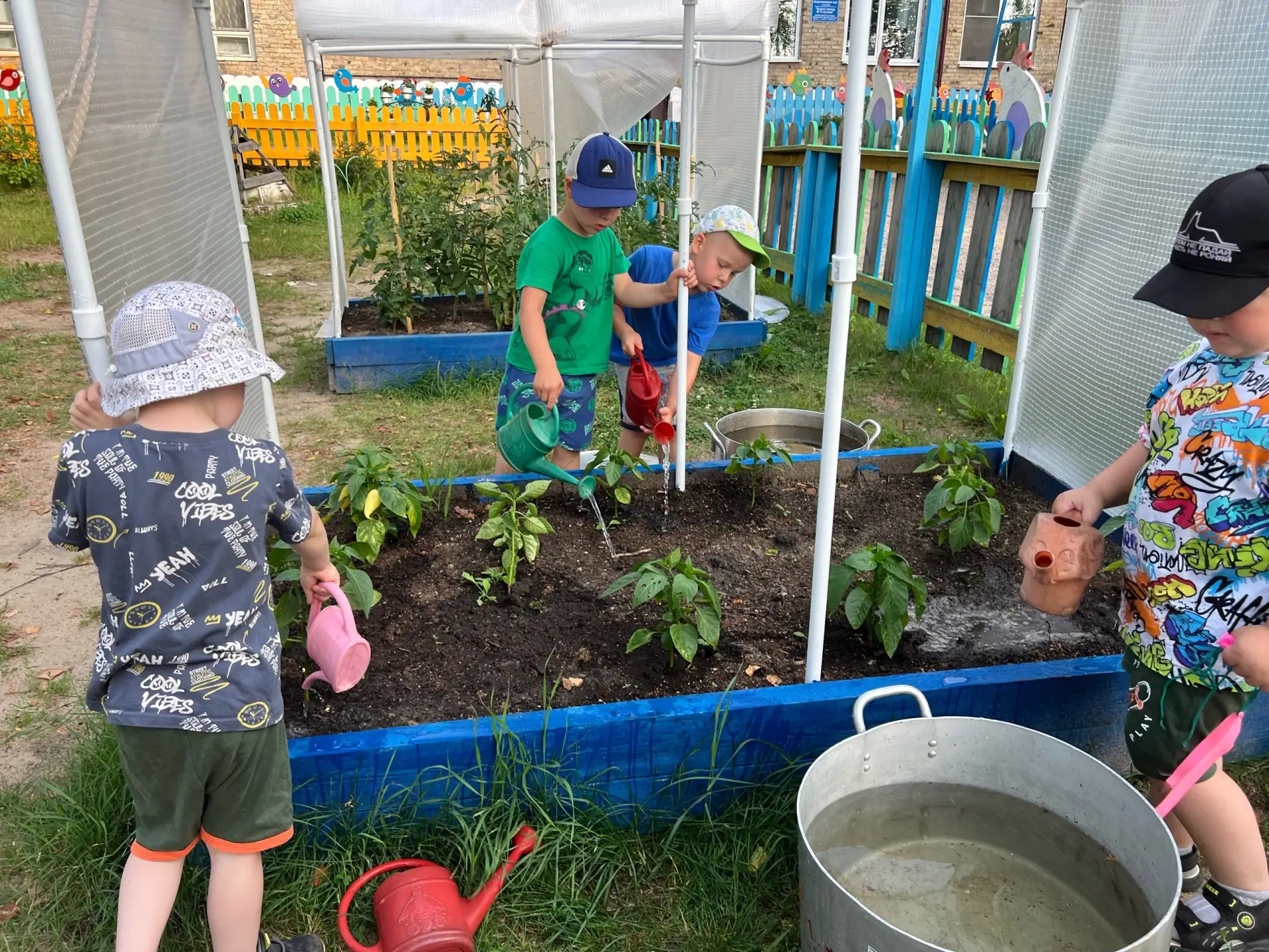 Наша огородная мыльная опера продолжается! 🎬🌱

В главных ролях:
🥒 Огурцы — звёзды сезона! Снимаем