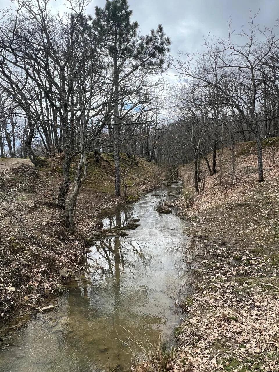 Село Краснокаменка🌳
// место для спокойного и тихого отдыха на берегу озера

Одна из достопримечате