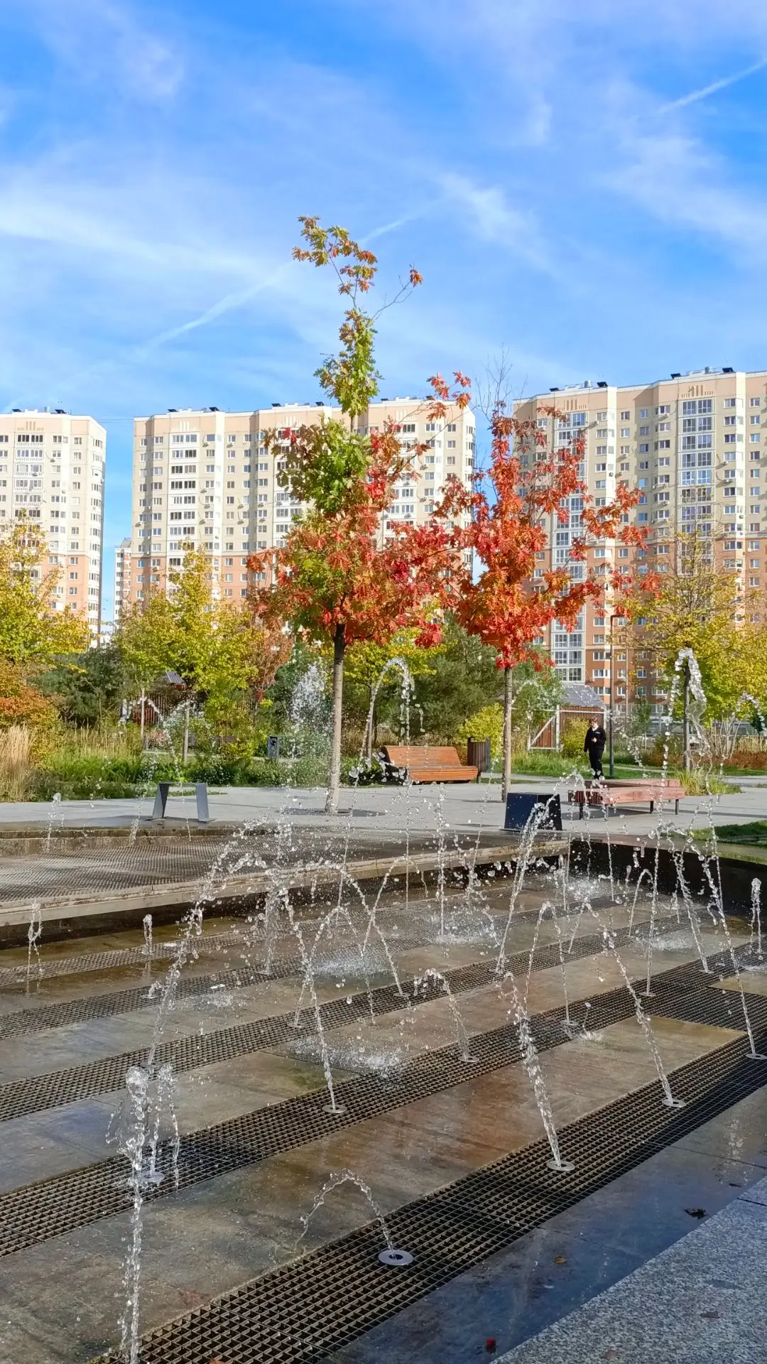 🍁🍂🍁 Осенний вайб 🍁🍂🍁
