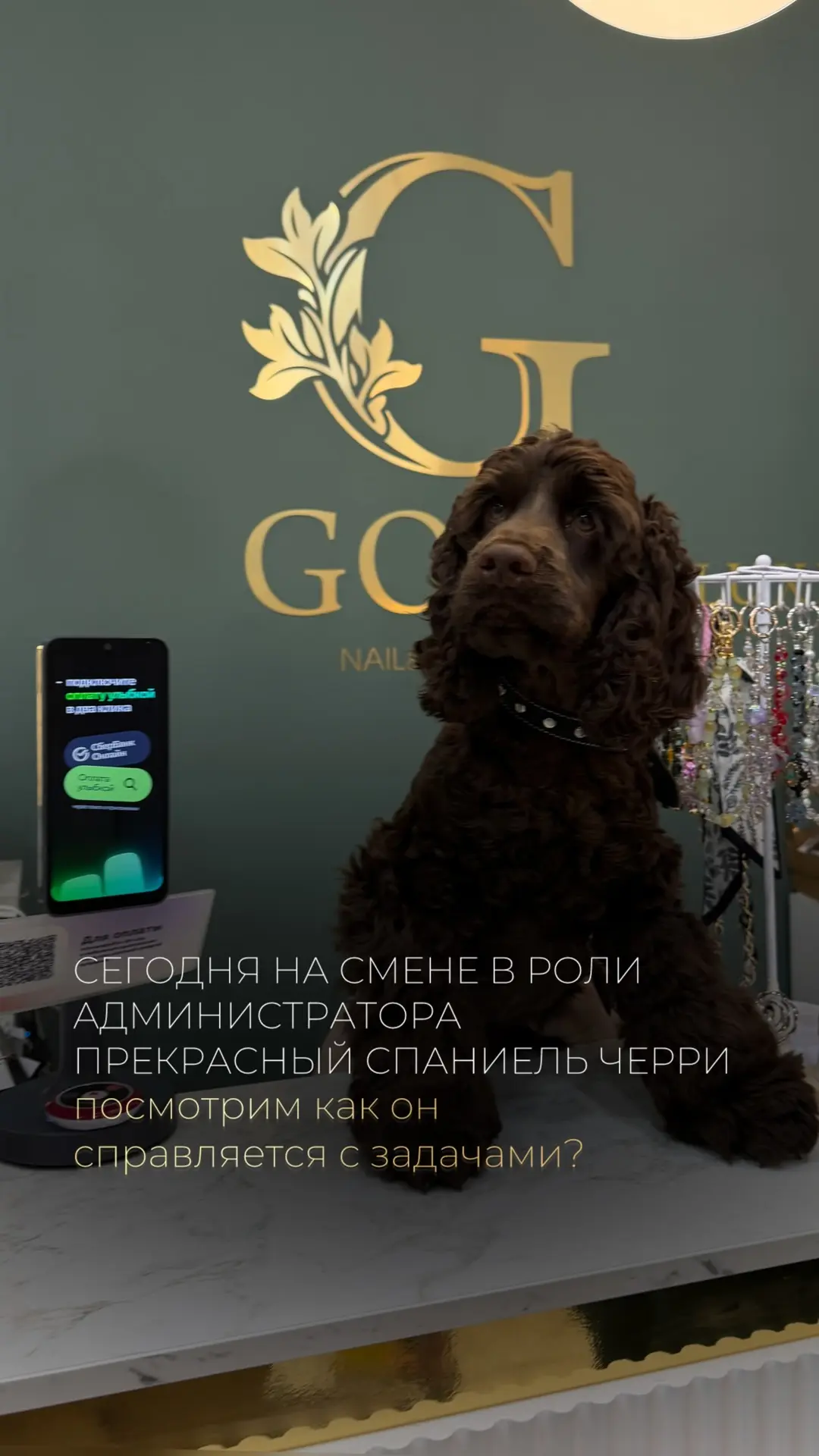 Сегодня на смене стажировался пушистый администратор 😱🥰