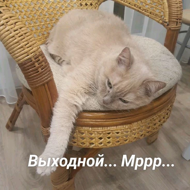 Первый выходной прошел. Но впереди ещё два! Спокойной ночи, дорогие! 😴