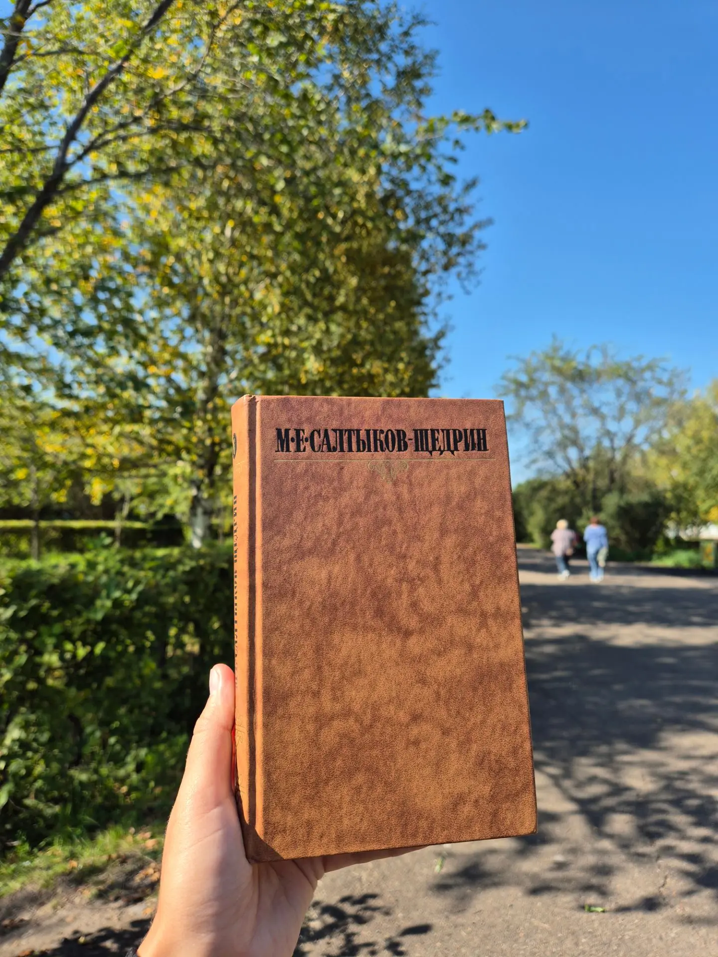 🍂📚