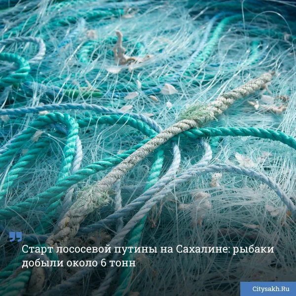 🐟 Лососевая путина на Дальнем Востоке стартовала, и сахалинские рыбаки уже добыли первый улов — око