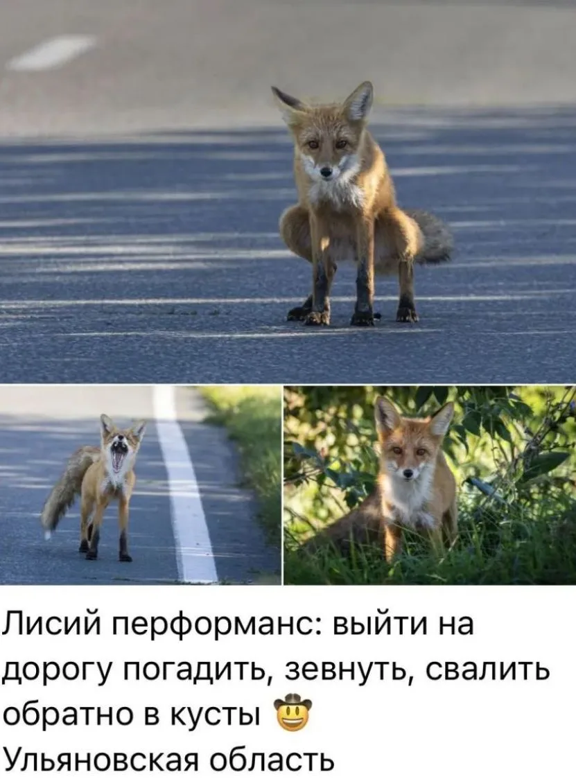 Дамы и господа 🌍🏞🏥🏢🏦