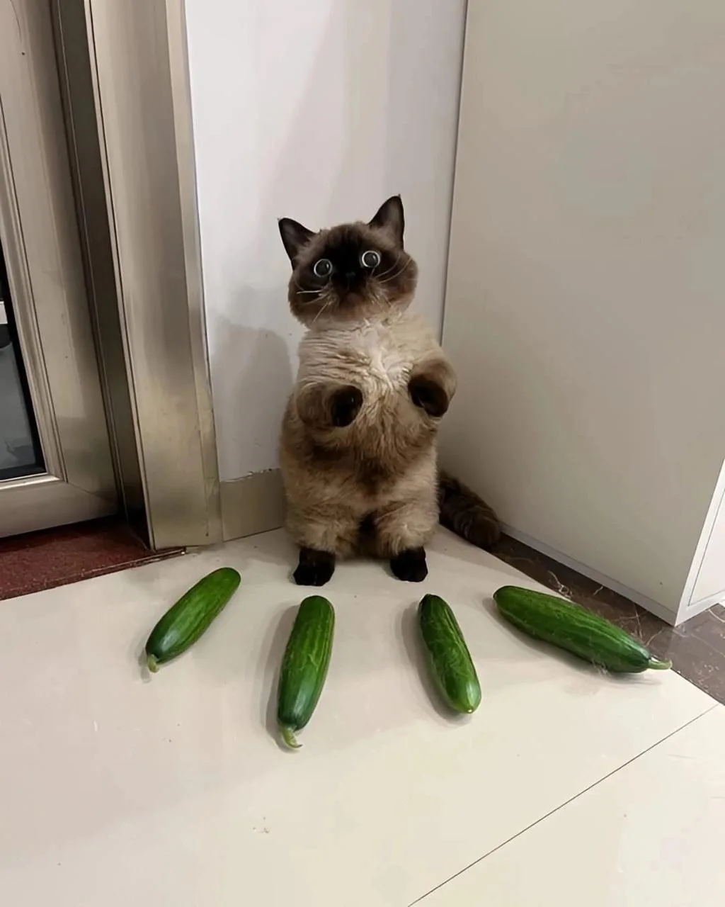 Окружен, но не сломлен😰