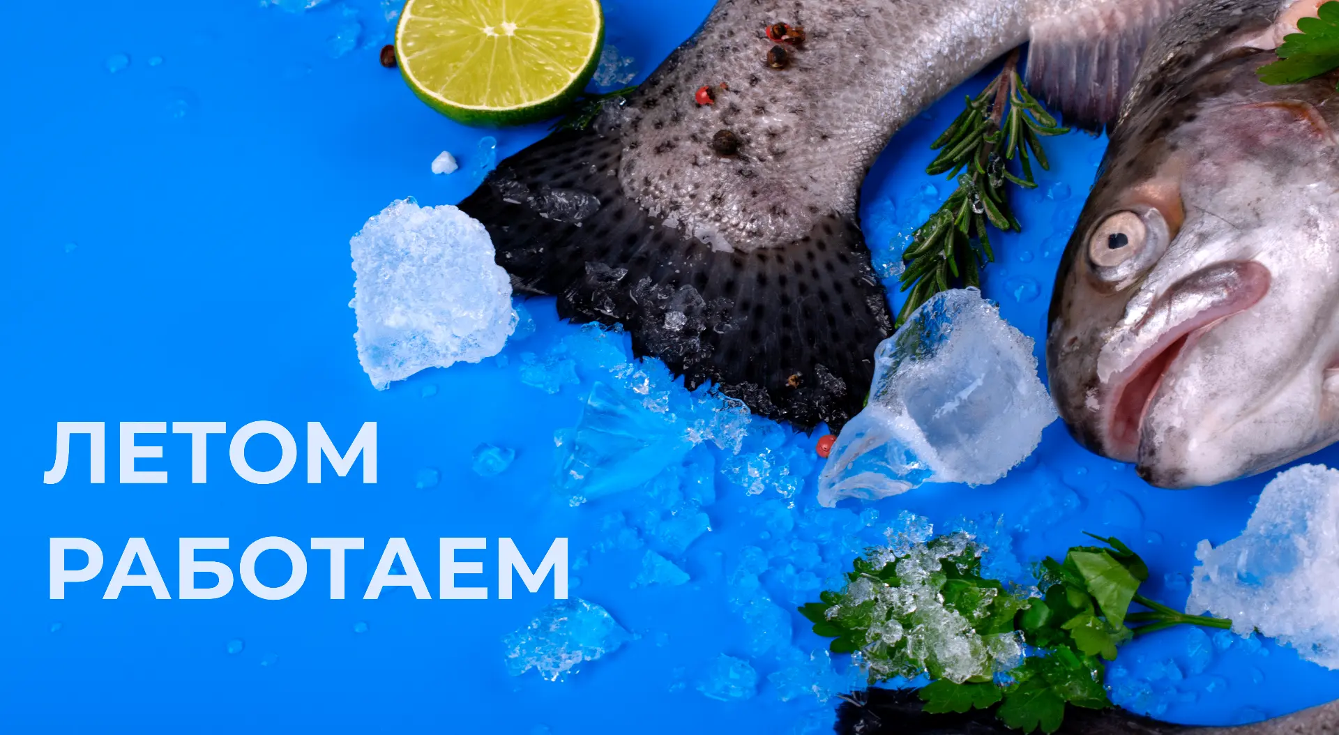 Летом - работаем!💪