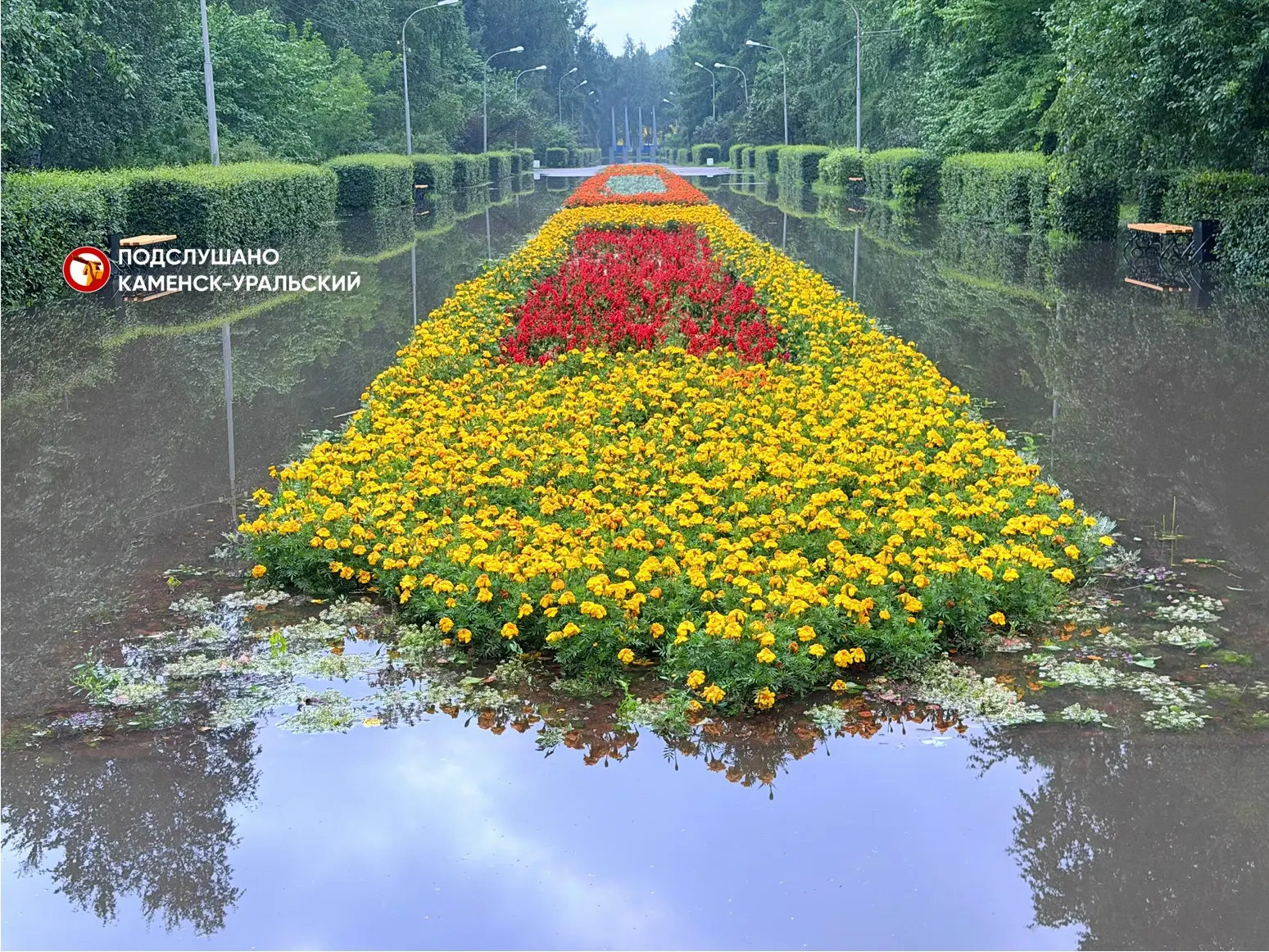 Ну и какие вам Елисейские поля, если у нас в Каменске такая красота на Трубном 😍