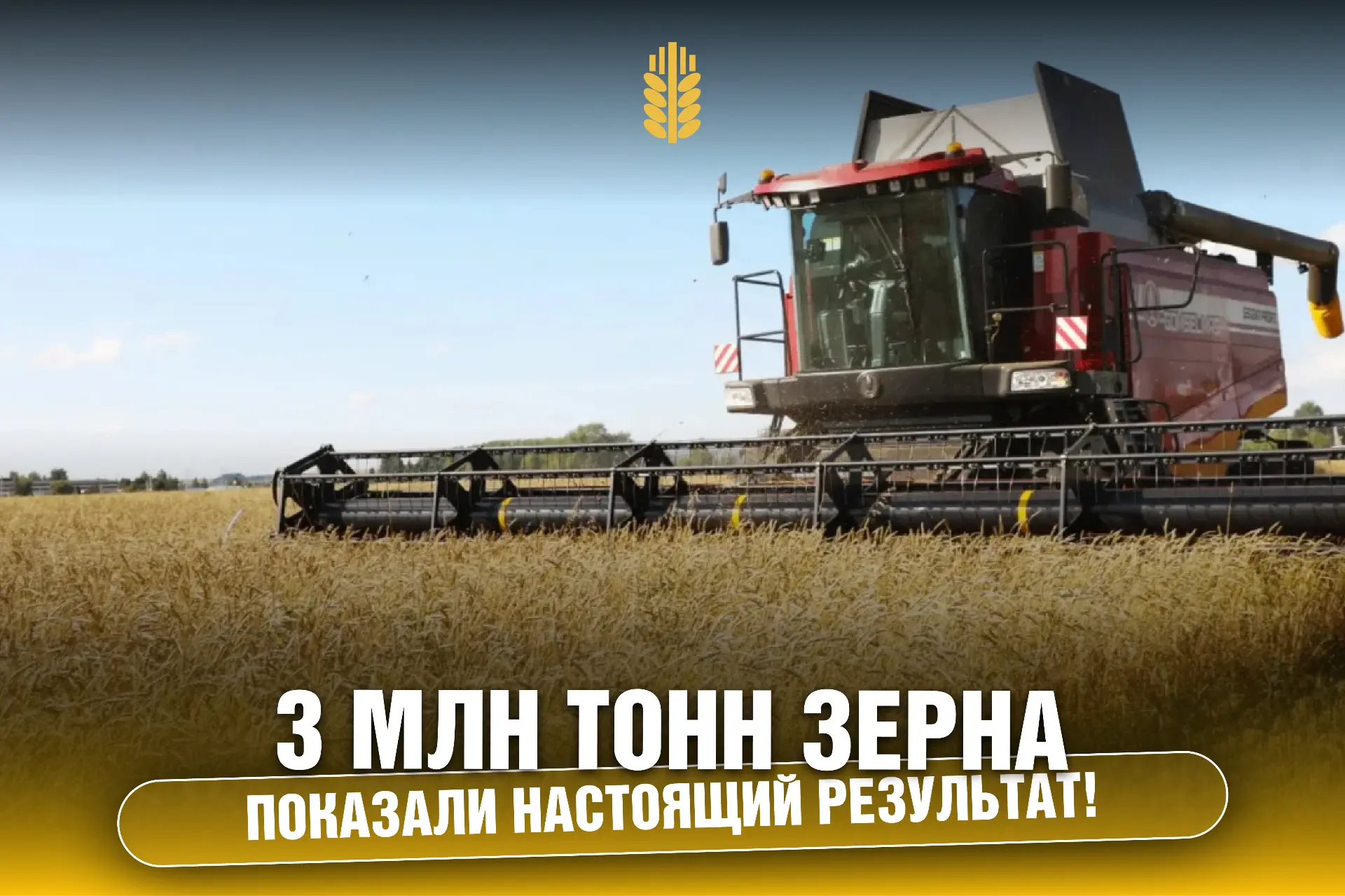 Татарстан собрал более 3 млн тонн зерна!