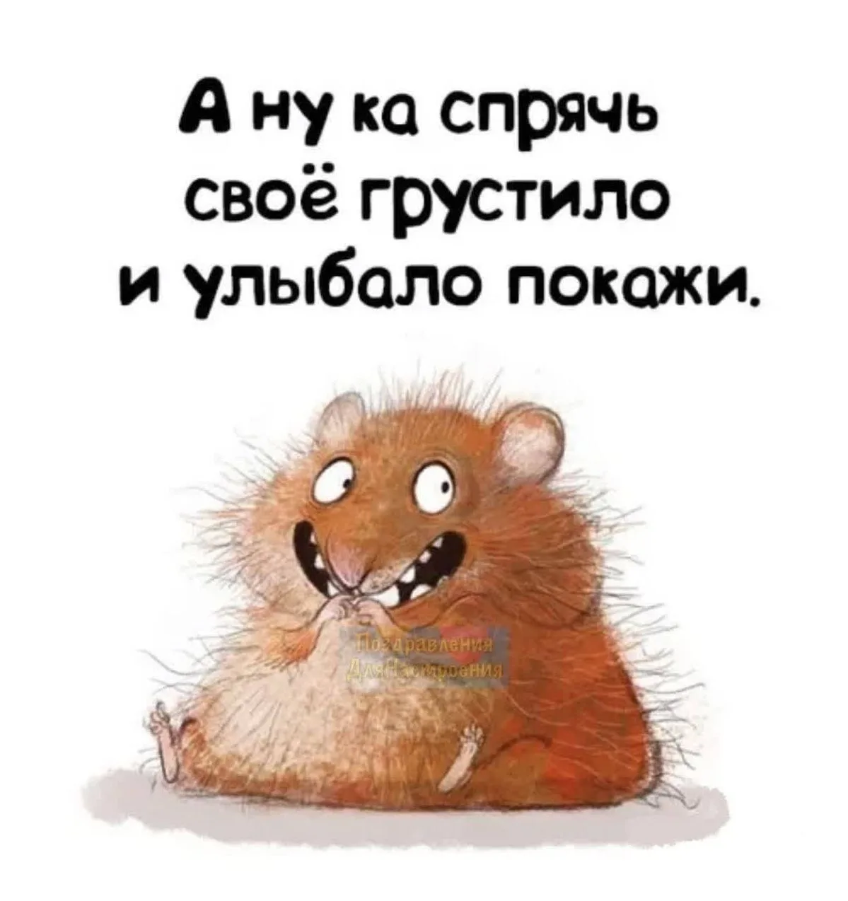 ✅ВАС ДОБАВИЛИ В САМЫЙ СМЕШНОЙ КАНАЛ В MAX  Юмор | Приколы - здесь выкладывают самые смешные картинки