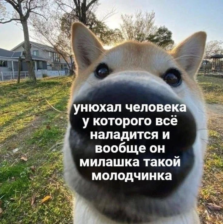 🫶
