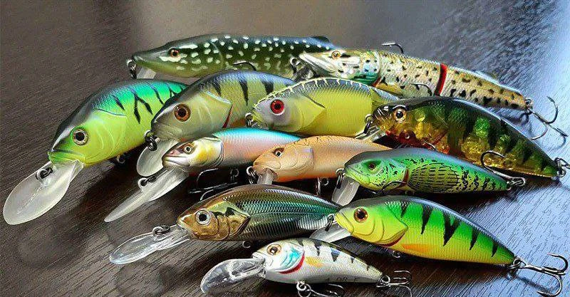 Принципы выбора раскраски воблера 🎏🐟