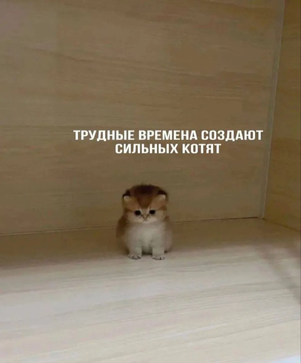 Фига, за которую может влететь по закону

Думаешь, показал «кукиш» и разошлись? Не совсем.
Юристы