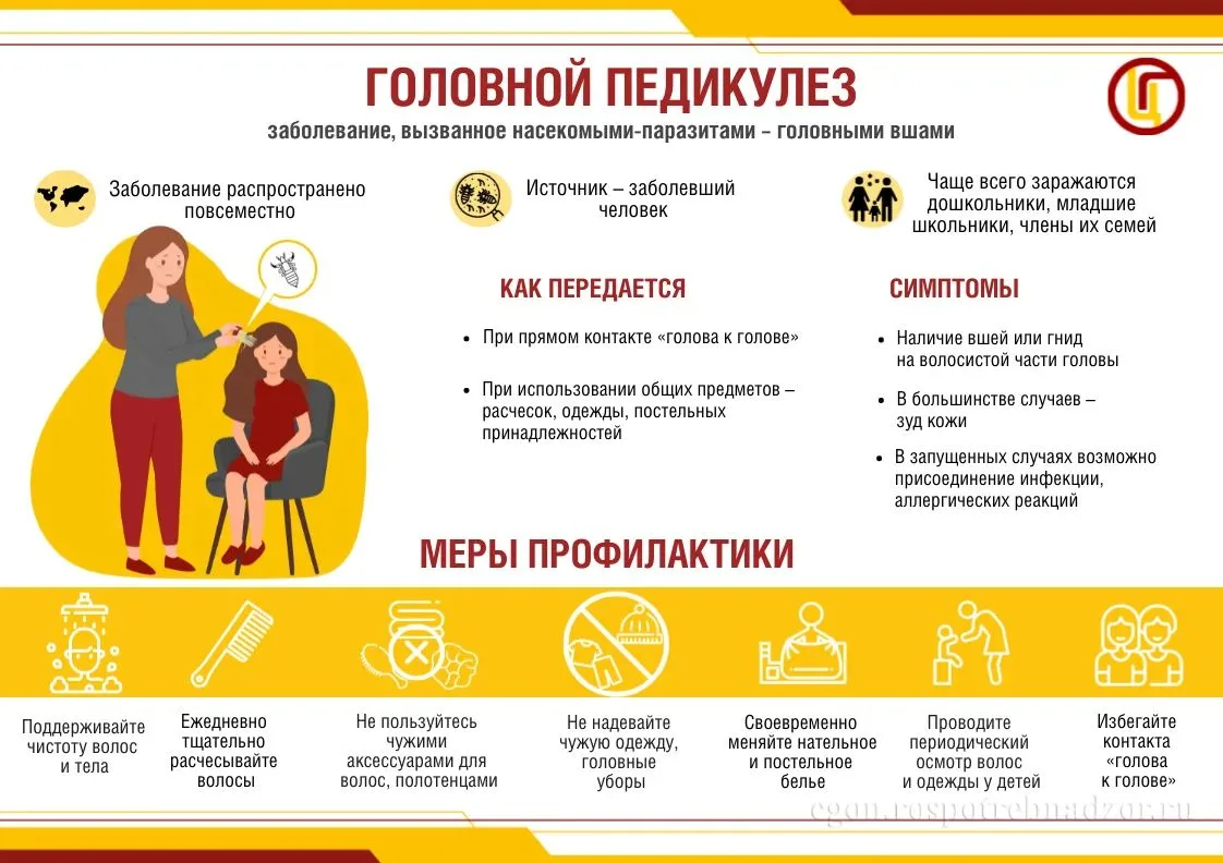 📍Педикулез: мифы и реальность. Как защитить себя и близких?