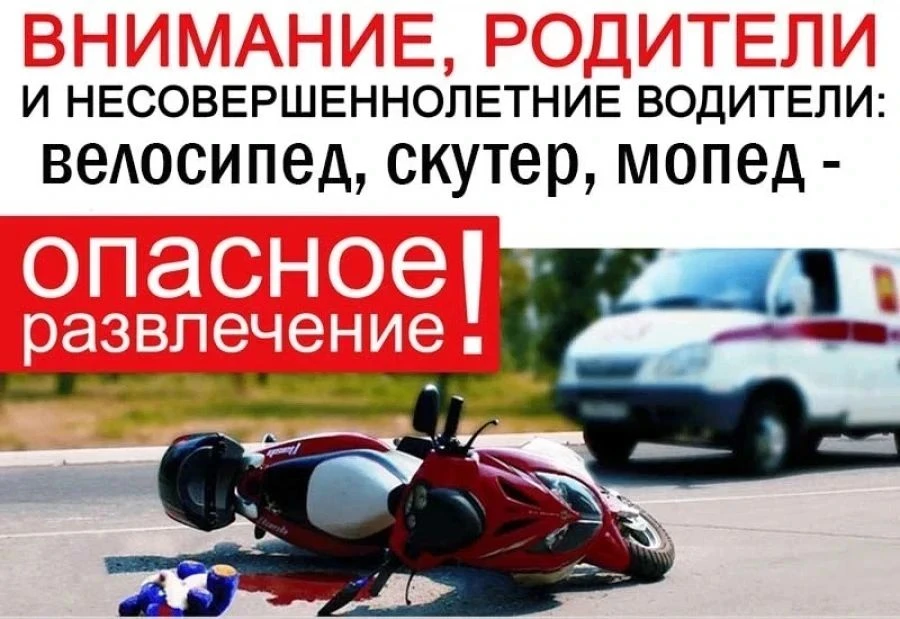 #ВниманиеДети61