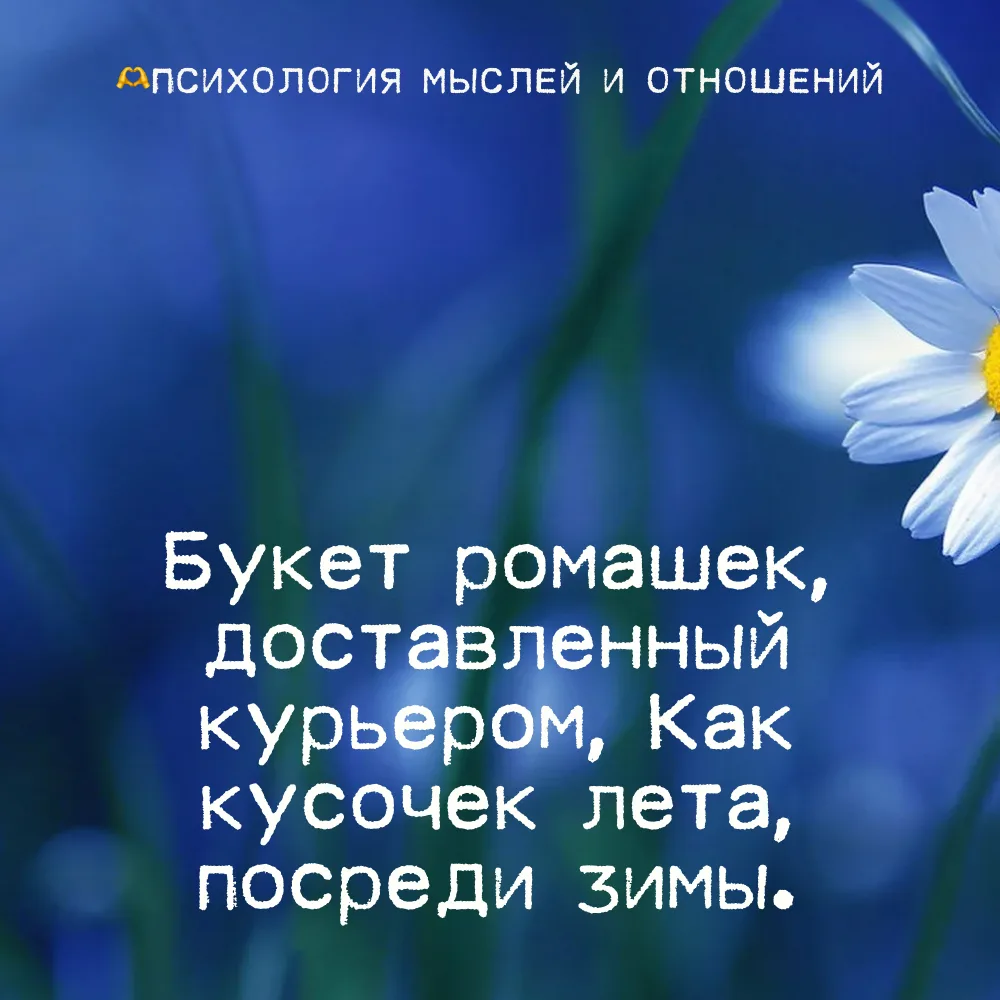 🫶 Психология мыслей и отношений