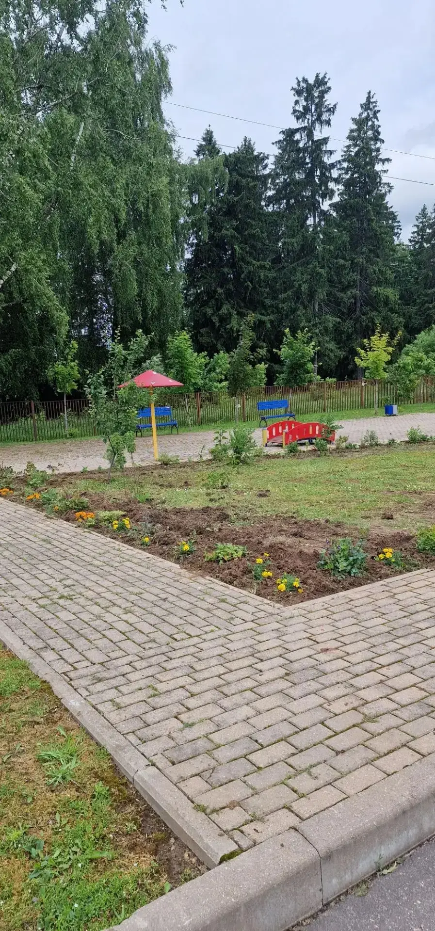 Вести детского Ботанического сада МБОУ Любучанской СОШ м.о. Чехов 
 🌺Завершены работы по оформлению