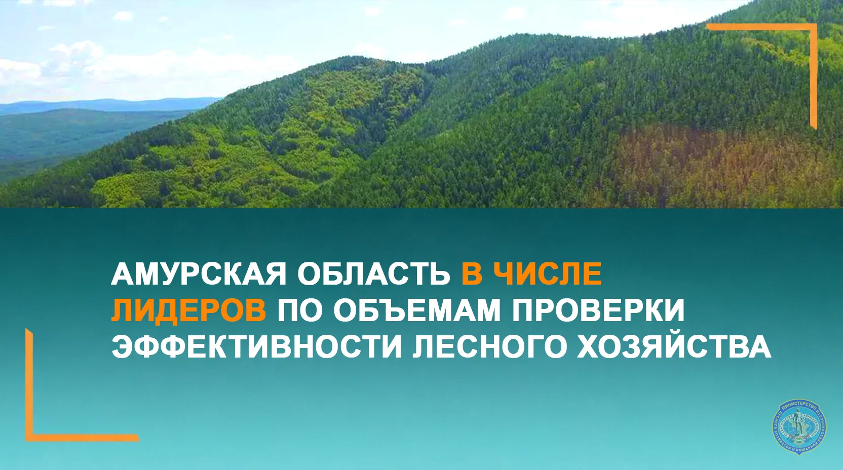 Амурская область вошла в число лидеров по объемам проверки эффективности лесного хозяйства

В регион