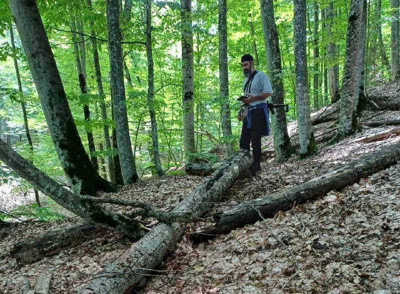🌲 В Ингушетии специалисты оценивают состояние лесных насаждений