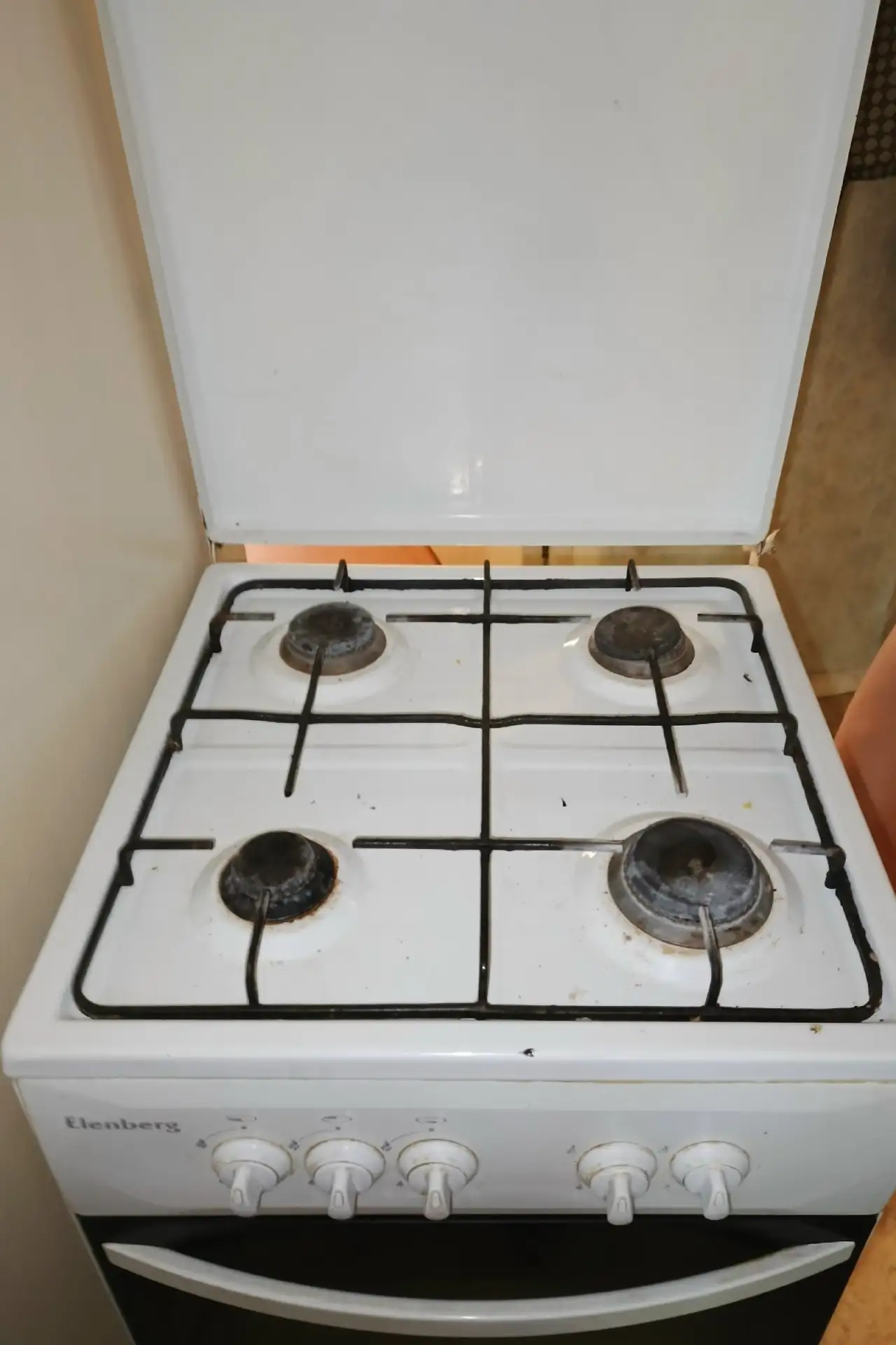 Газовая плита в дар.