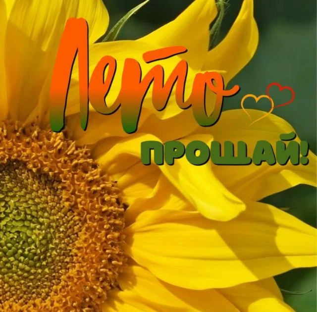 🏵️Дорогие ребята!