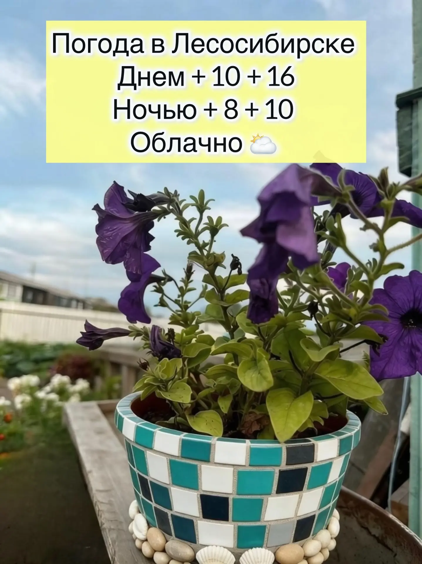 ☀️Доброе утро, друзья!