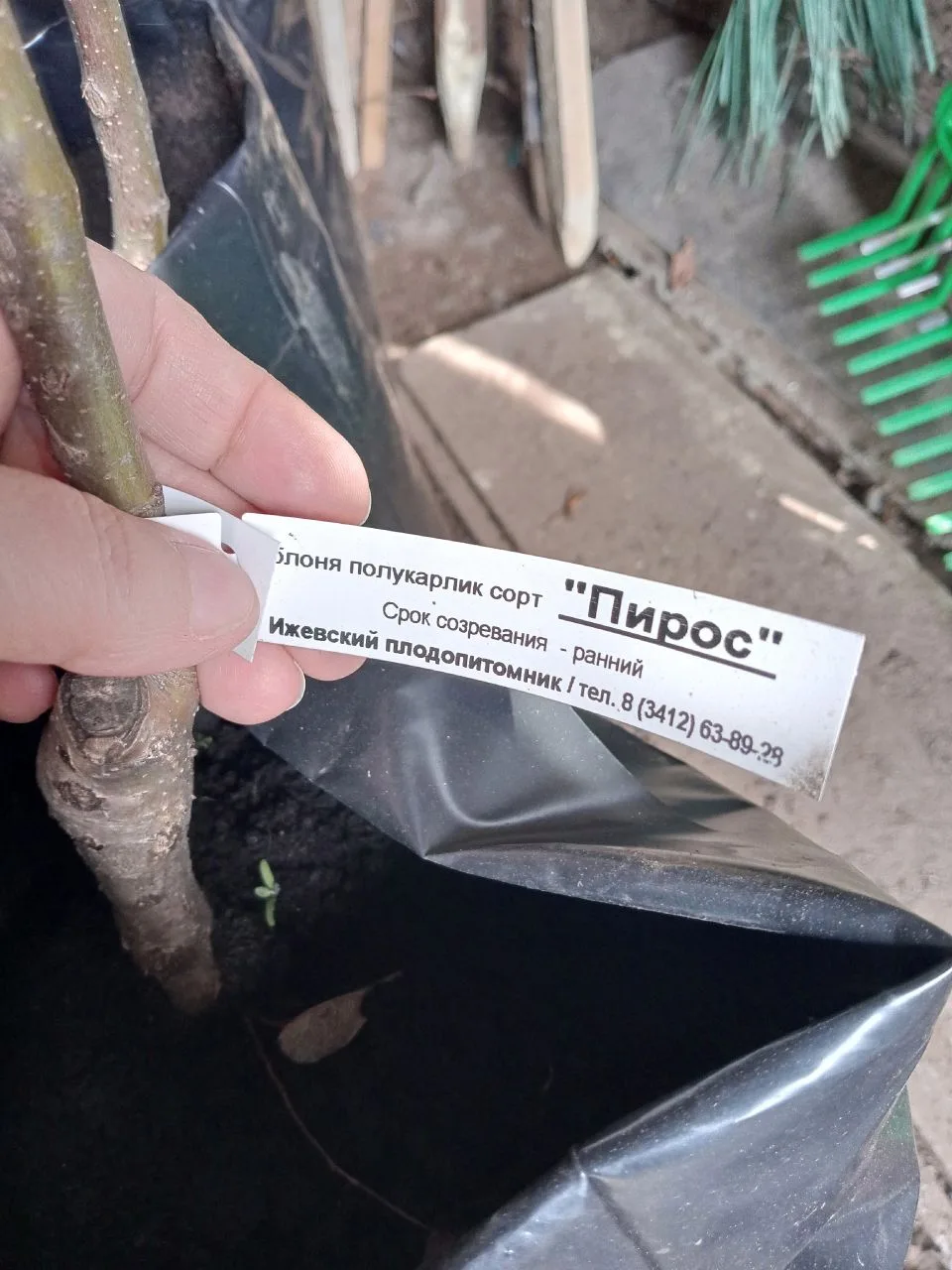 Друзья! У нас новости- саженцы яблонь привезли ! Всех ждем на посадку  сада 15 мая в 13...