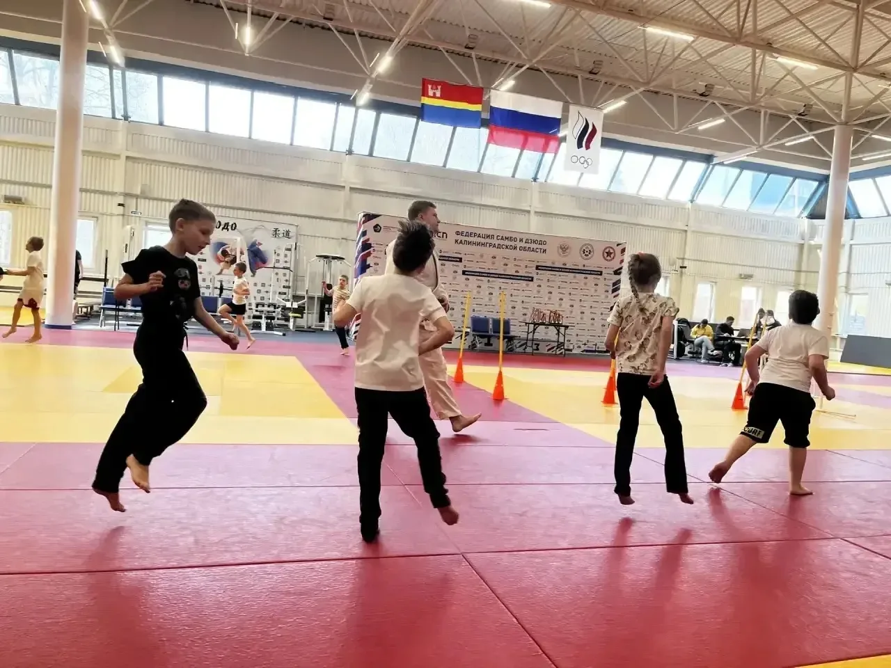 Сегодня учащиеся 2-ых классов приняли участие в  Областном этапе Калининградской области всероссийск
