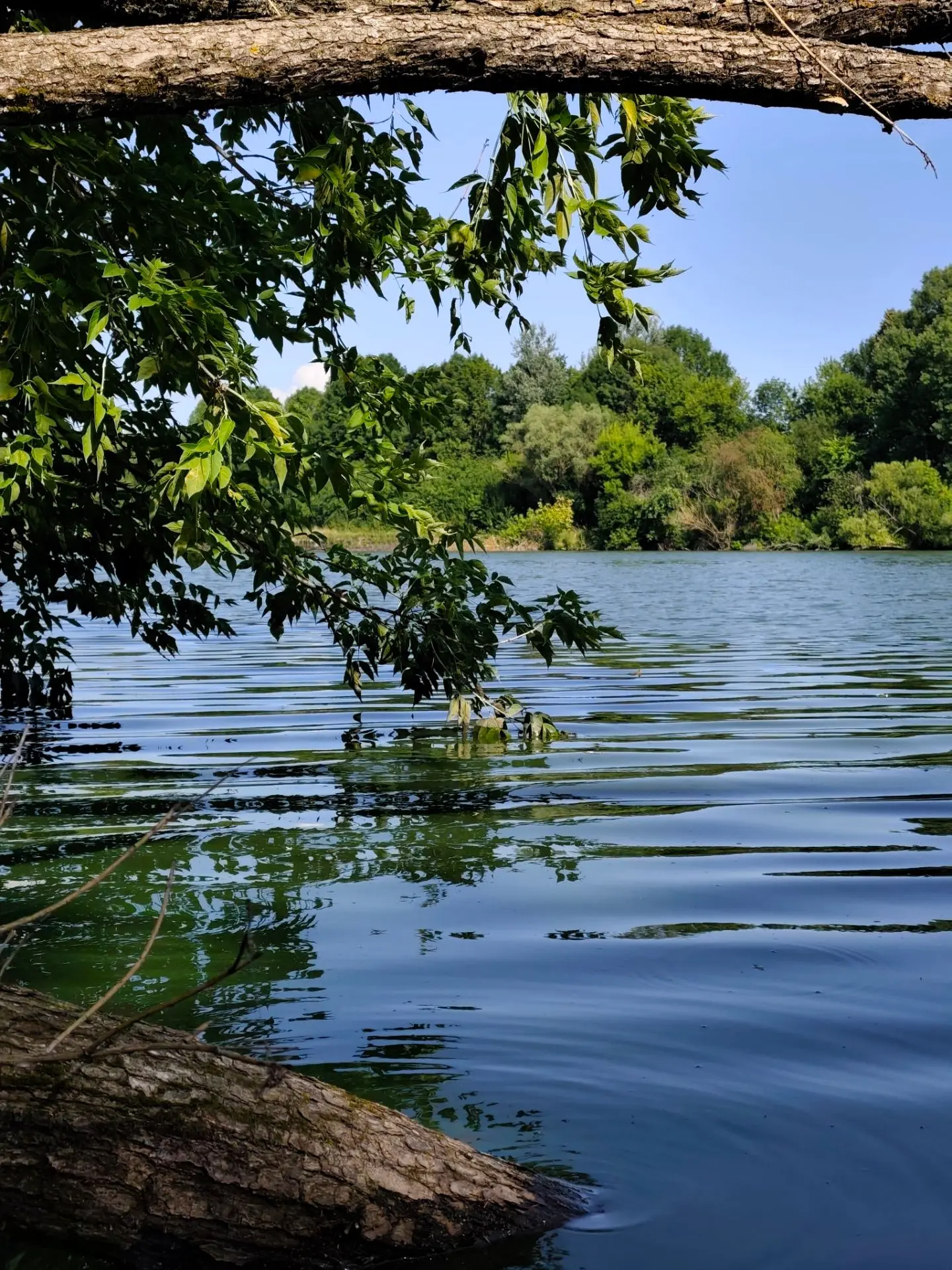 ☘𝓨𝓾𝓵𝓲𝔂𝓪☘