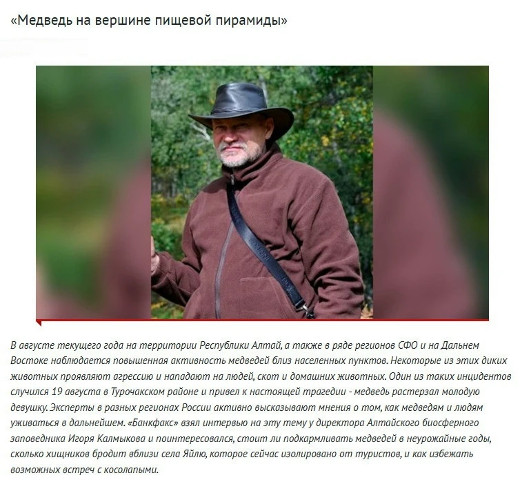 «Медведь на вершине пищевой пирамиды»: интервью директора Алтайского заповедника
