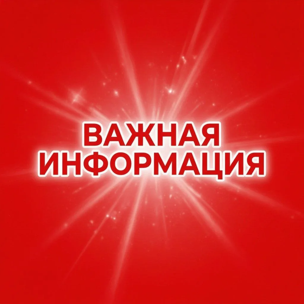 ✅Культурный досуг — с поддержкой и удобством! Друзья, хотим рассказать о двух важных ве...