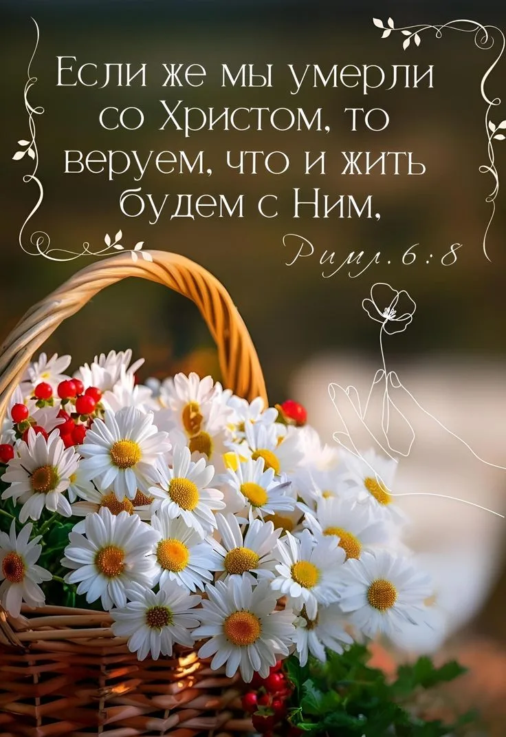 👉 Наши каналы. Подписаться.