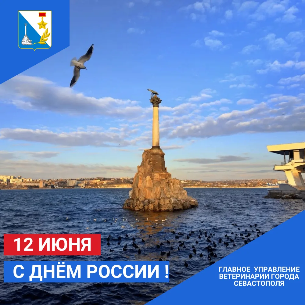 Уважаемые севастопольцы!
Примите самые тёплые и искренние поздравления с Днём России! 🇷🇺          