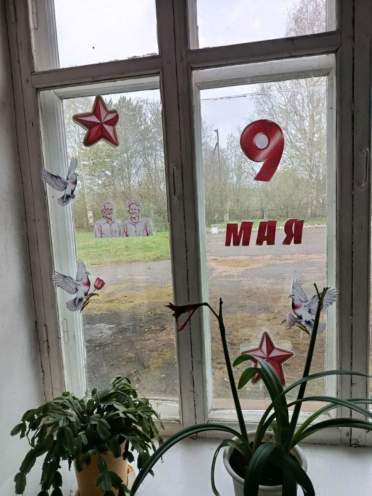 Окна Победы!