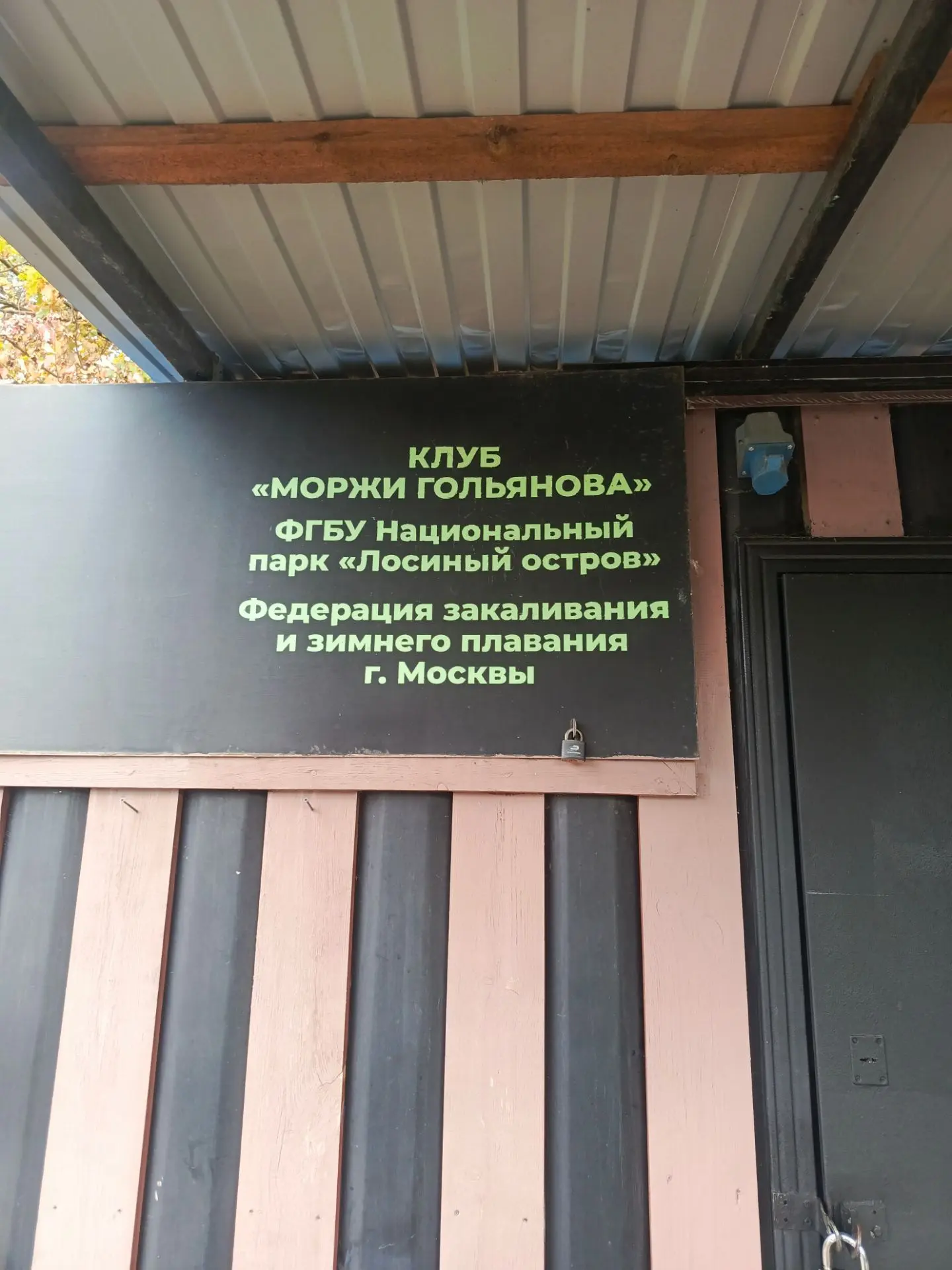 Сегодня - 28 сентября 2026 года - в этот прекрасный теплый и солнечный день бабьего лет...