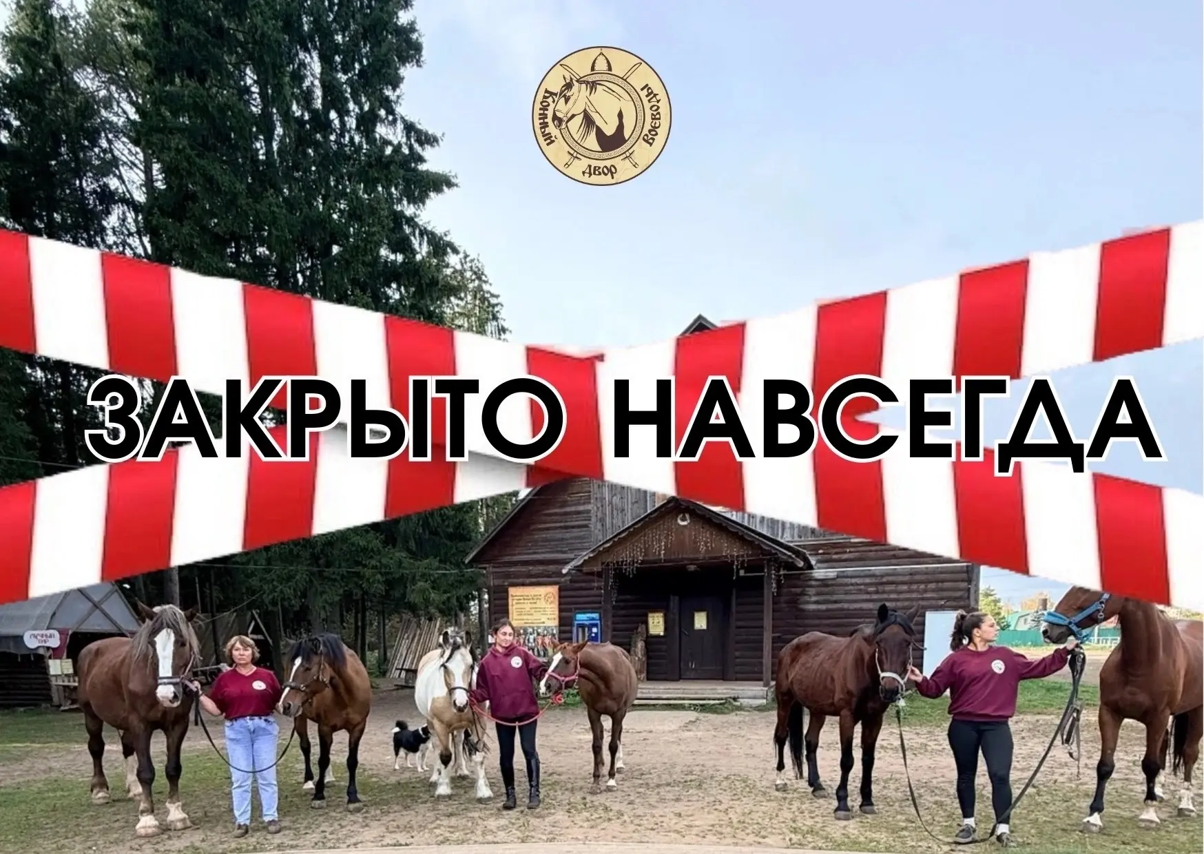 ❗️ 15 ЛОШАДЕЙ ОСТАЮТСЯ НА УЛИЦЕ НА ВСЮ ЗИМУ