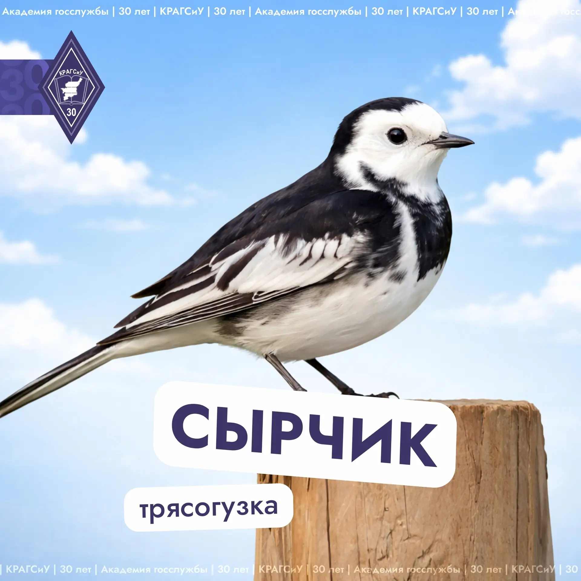 Весна уже в самом разгаре – солнечное и яркое настроение вокруг ☀    А давайте вспомним, какие птицы