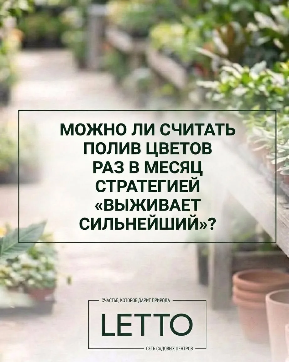 Вопросы, которые не дают уснуть цветоводам! 🫢

👉 Листайте карусель — там новая подборку юмора на с