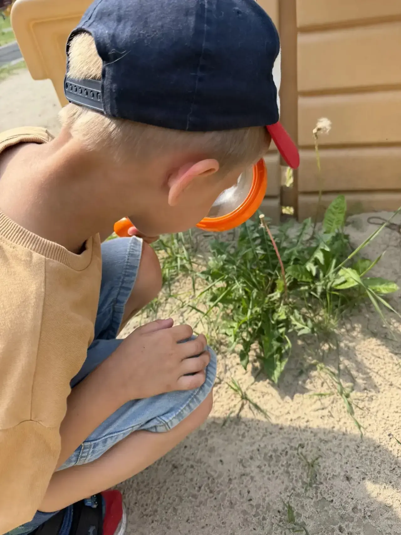 🏖️Лето — благоприятный период для организации исследовательской деятельности. 

✅В рамках проекта в