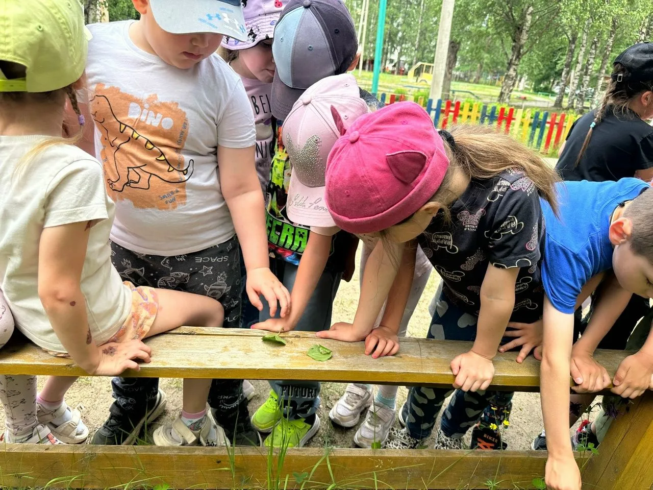 ☀️ Лето! Наши воспитанники познают мир.