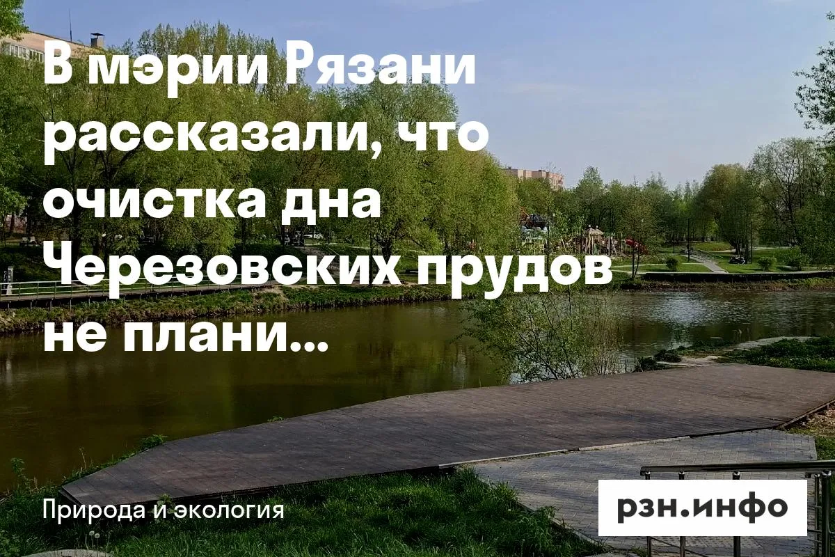 В мэрии Рязани рассказали, что очистка дна Черезовских прудов не планируется
В ответ на запрос указа