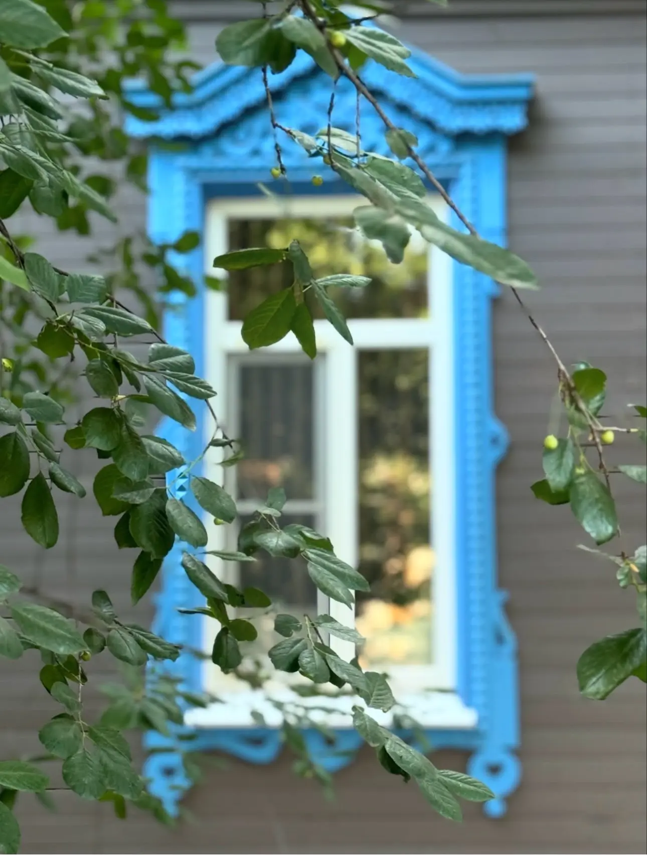 Карендәшләребезнең 🏡авыл турындагы шигырьләре📖