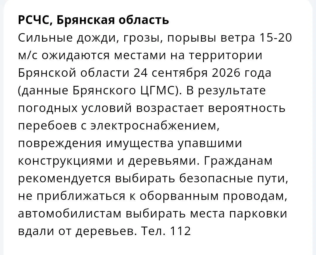 ⚡️Шторм с ливнями и шквалистым ветром надвигается на Брянскую область