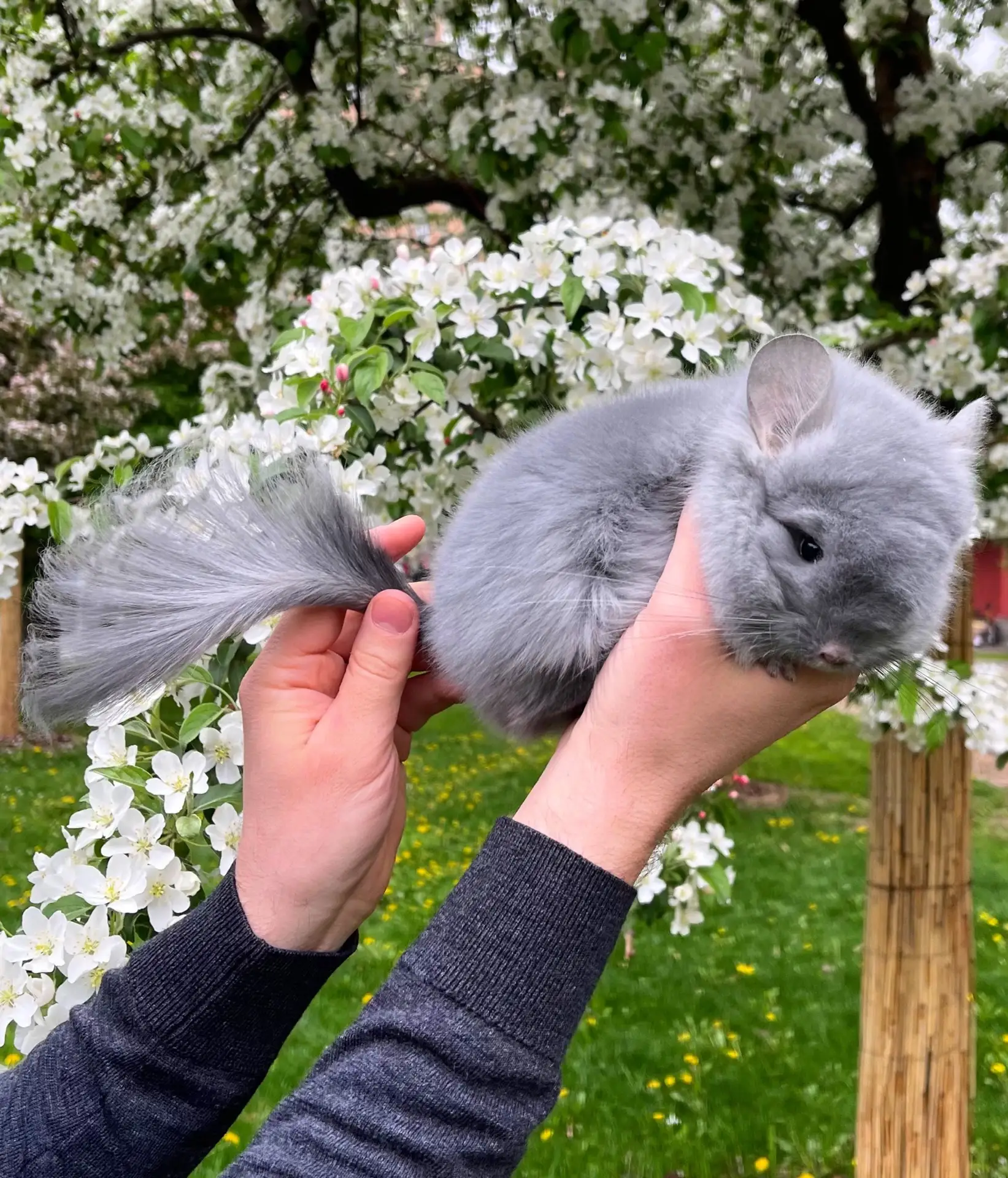 Доброе утро, друзья! ☀️🌸