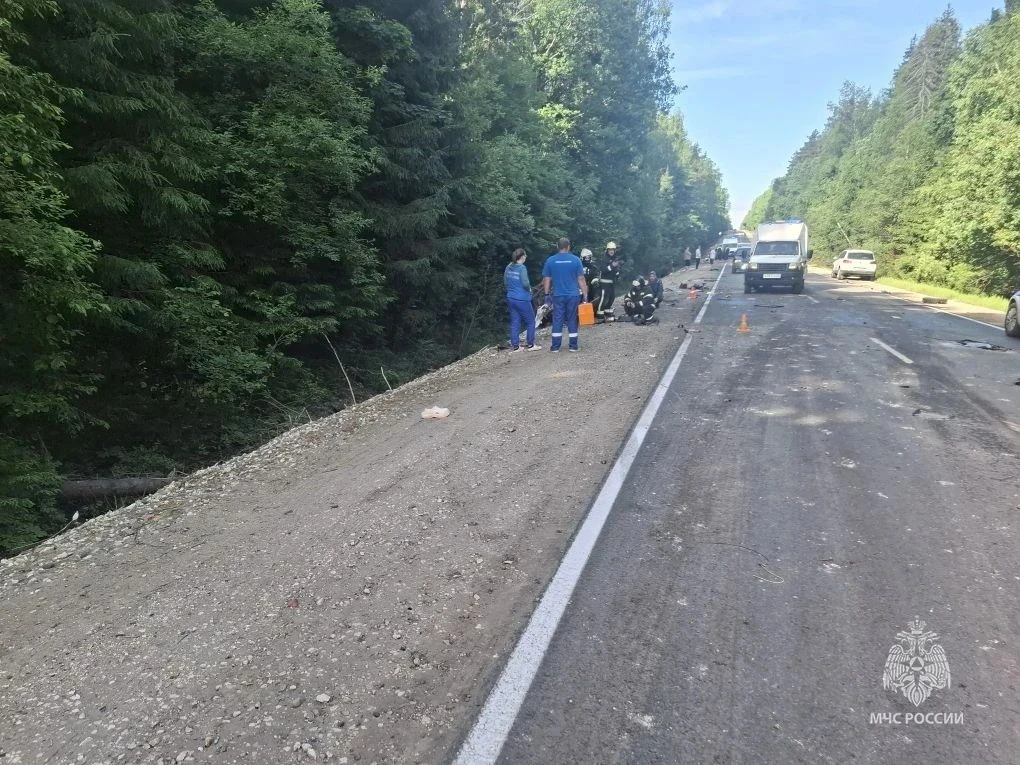 🔴 Сотрудники МЧС России деблокировали пострадавших в ДТП

15.06. в 07-45 в оперативную дежурную сме