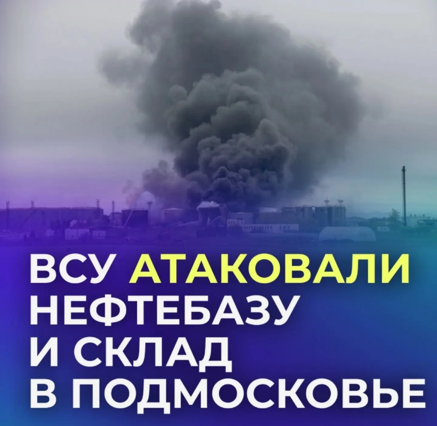 Лоси забрели в каменные джунгли. Были замечены ранним утром на Содышке во Владимире.