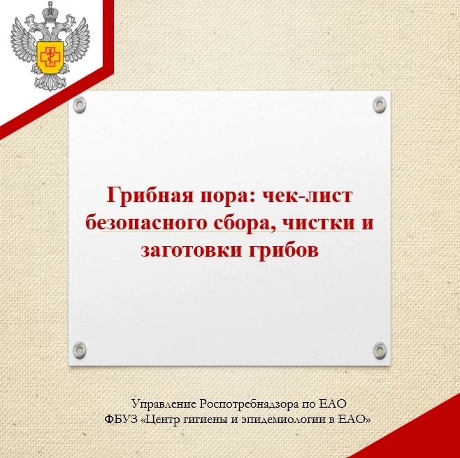 ➡️ Сбор (в лесу)