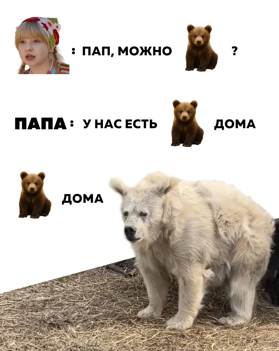 Да это просто медведя только после спячки разбудили 😁