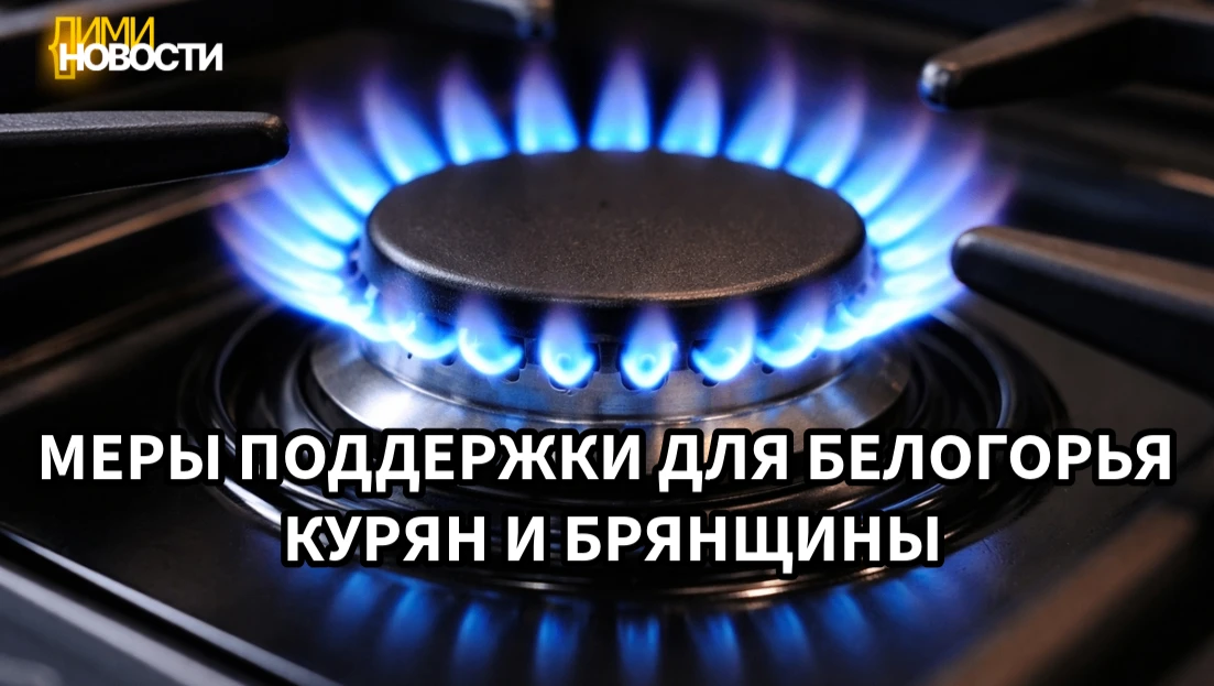 Правительство РФ ввело особые правила газоснабжения для трёх приграничных регионов — Бе...