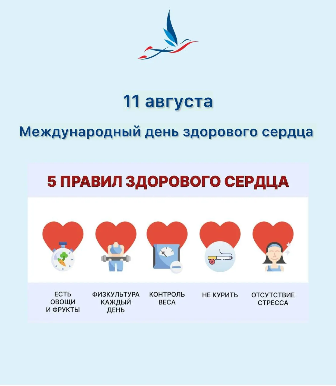 11 августа — Международный день здорового сердца ❤️